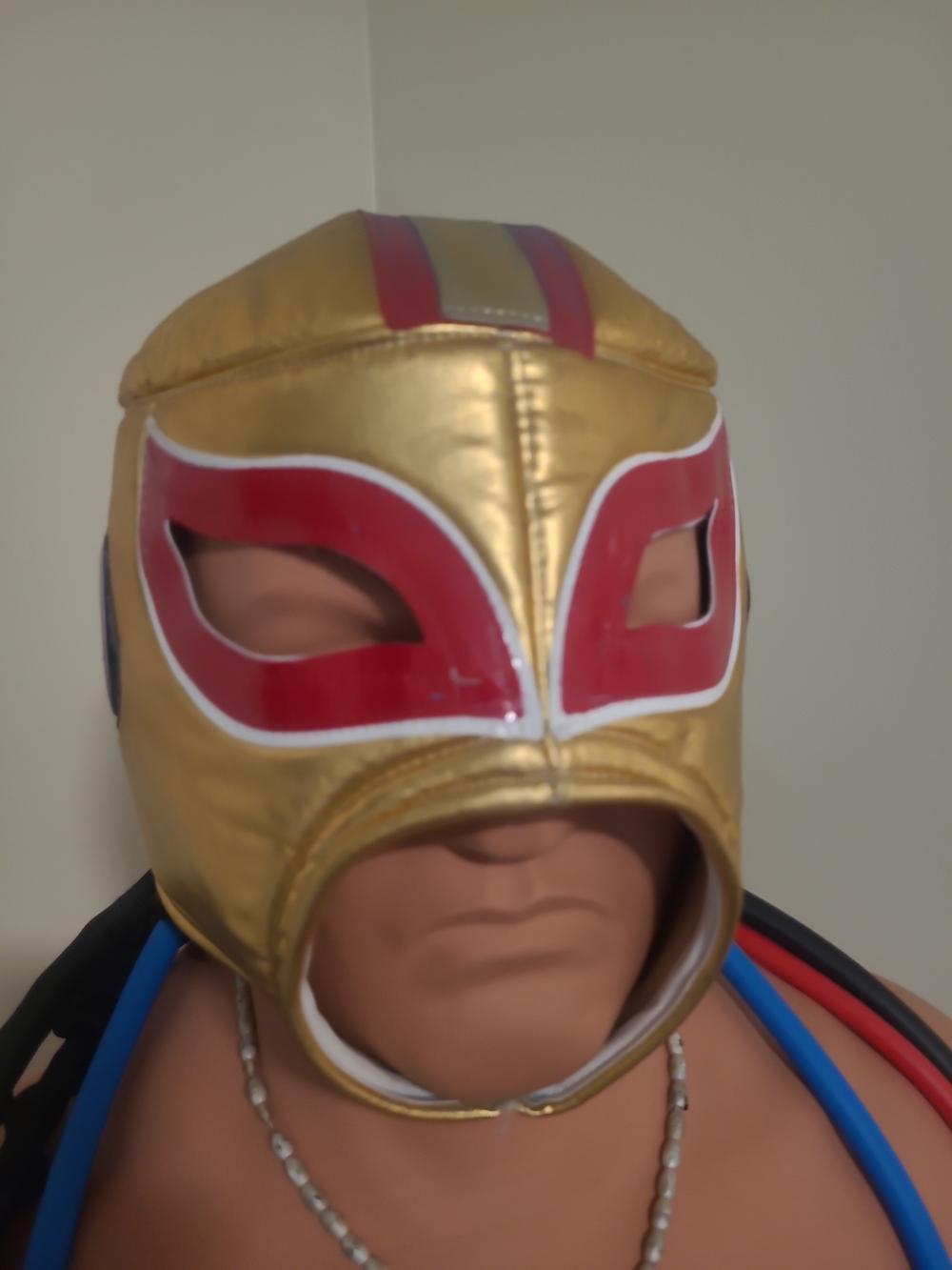 SAN FRANCISCO 49ers WRESTLING-LUCHADOR! GREAT FOR NFL FANS